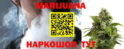 дмт Новодвинск