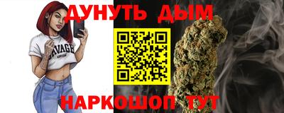 дмт Новодвинск