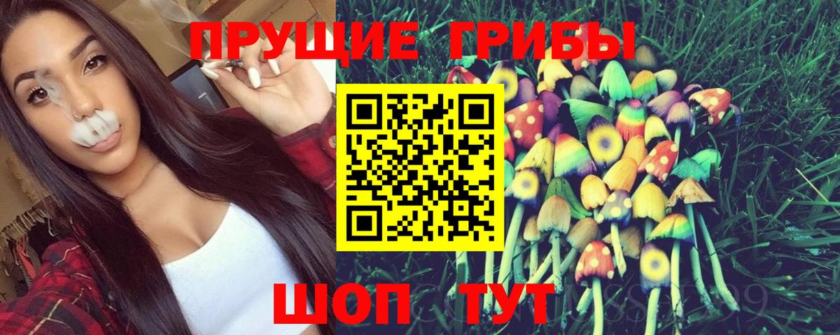 Галлюциногенные грибы Psilocybe  Вход с VPN  Советский  Галлюциногенные грибы Magic Shrooms 