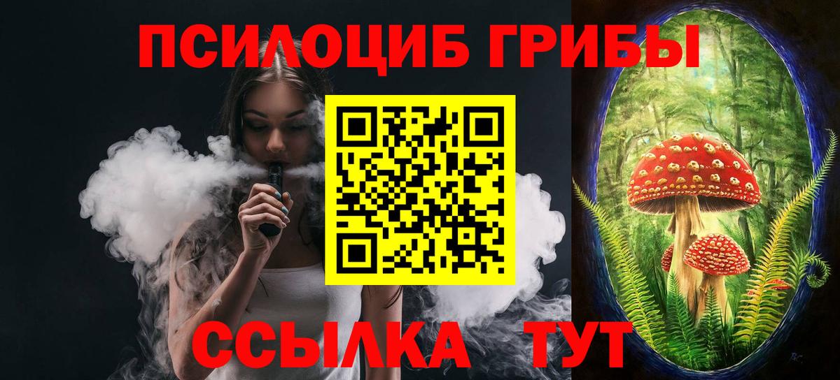 Псилоцибиновые грибы Cubensis Советский